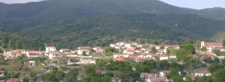 ΕΛΑΦΟΣ