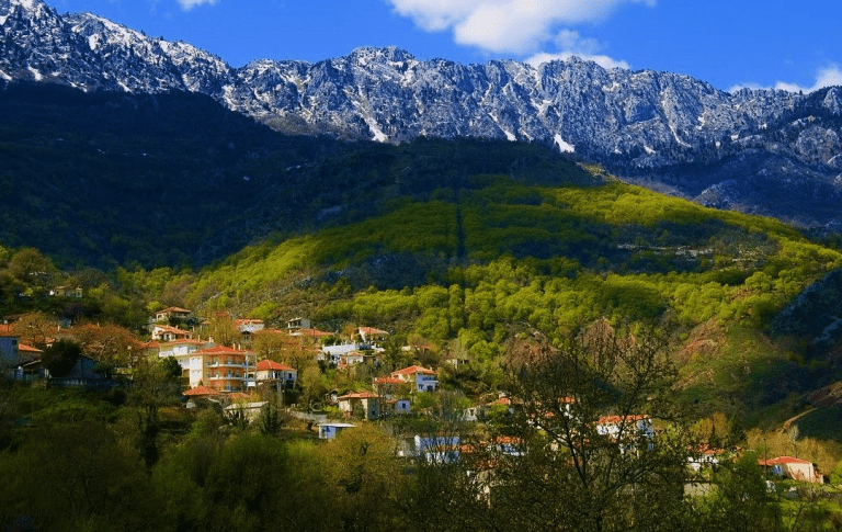 ΤΟ ΧΩΡΙΟ ΞΥΛΟΠΑΡΟΙΚΟ