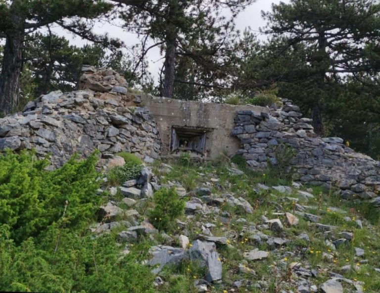 613109763_122250316058149629_6600001286148198219_n