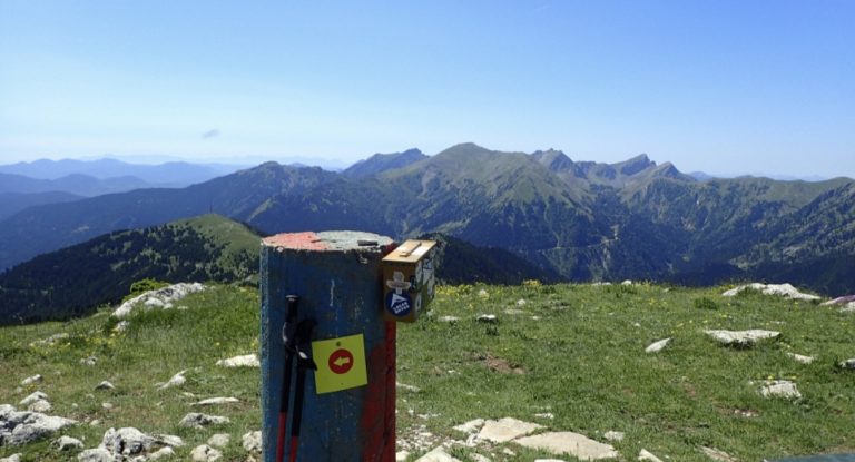 εικόνα_Viber_2026-01-22_13-45-22-552