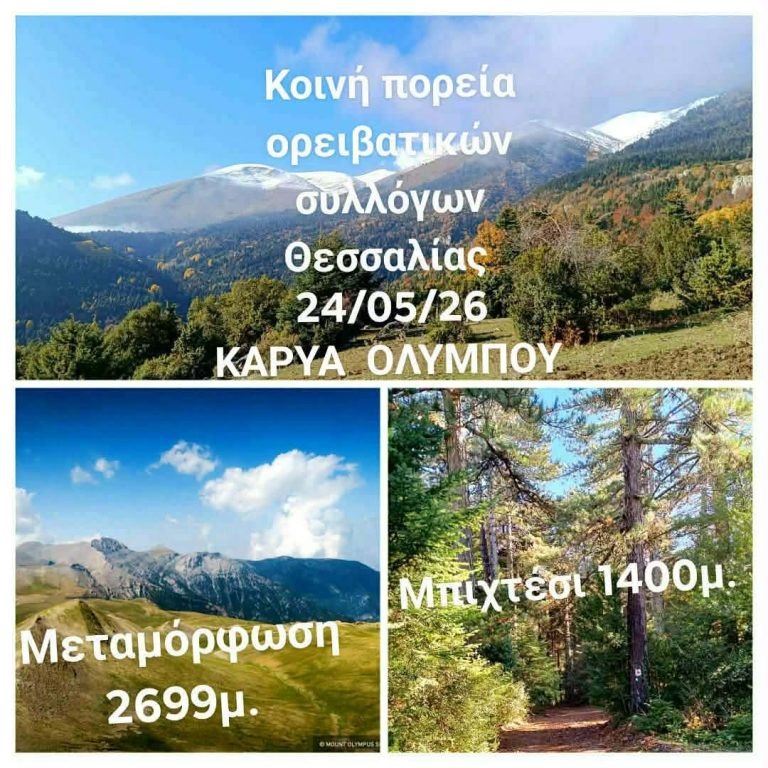 1000027578