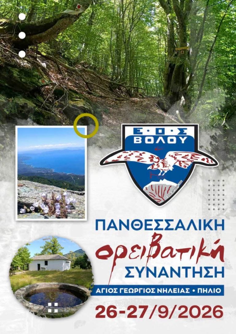 εικόνα_Viber_2026-08-05_19-02-21-672