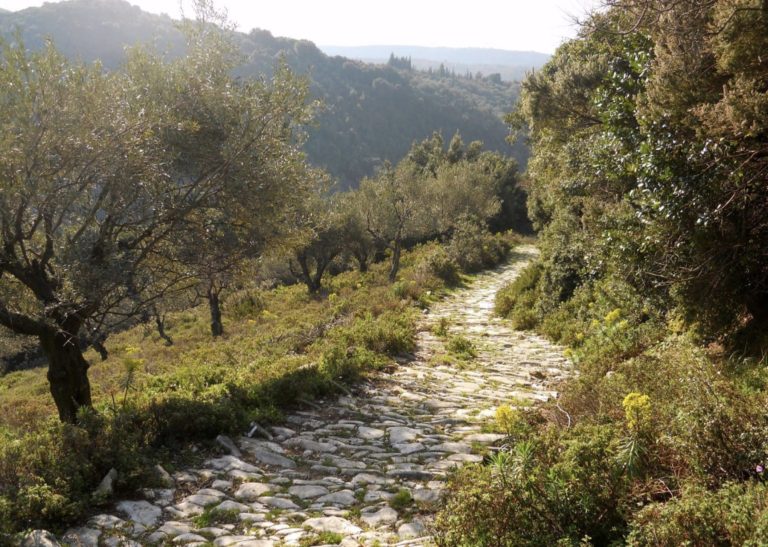 εικόνα_Viber_2026-08-29_11-30-33-884