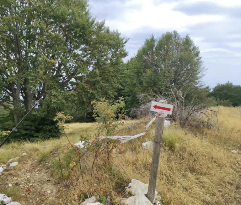 101